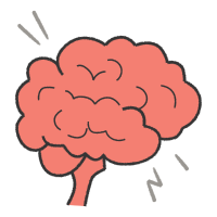 Brain illustration
