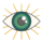 Human eye illustration