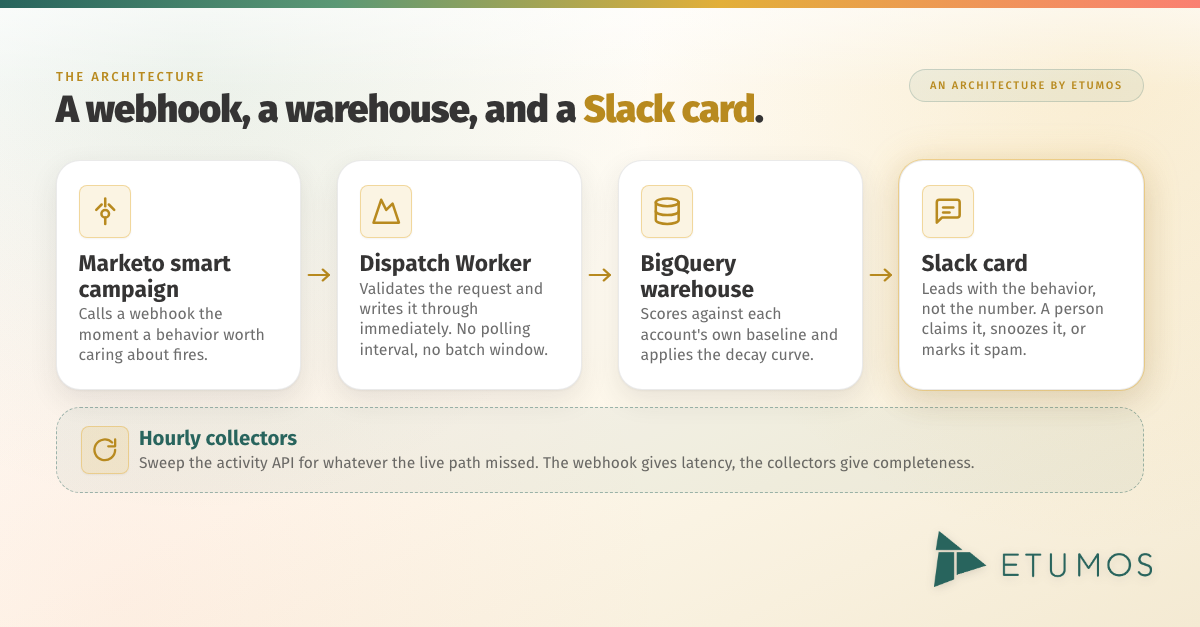 Growth signals agent architecture: a Marketo smart campaign calls a webhook, a dispatch Worker validates and writes to a BigQuery warehouse, and a Slack card surfaces to a human, with hourly collectors underneath as the reconciliation layer